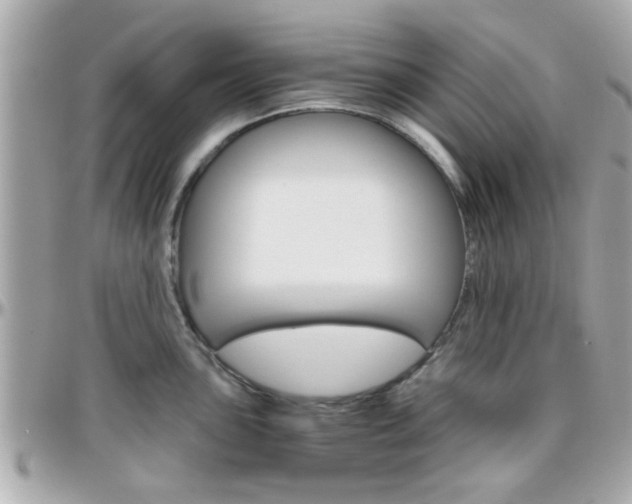 X0000096441051200801241113