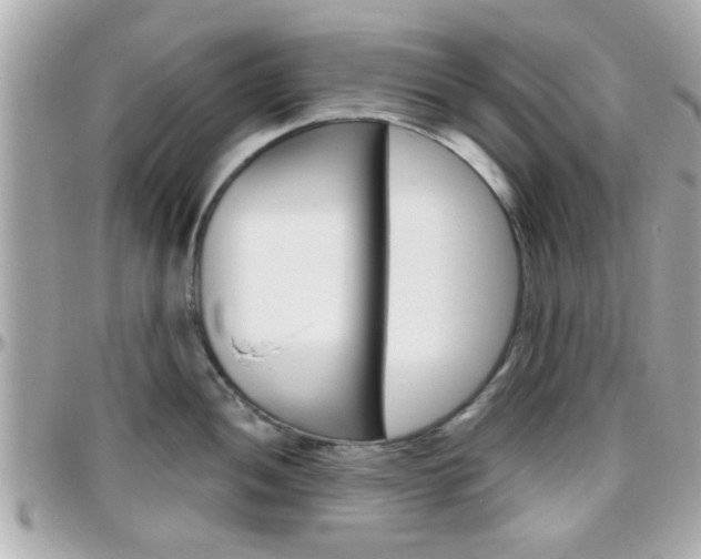 X0000096441052200801241113