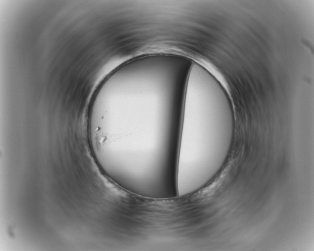 X0000096441053200801241113
