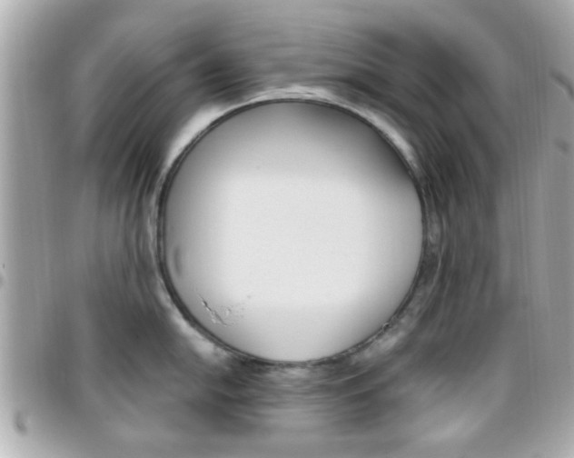 X0000096441054200801241113