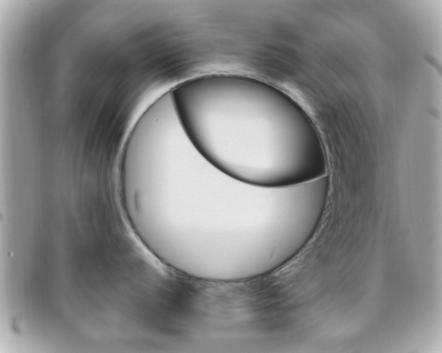 X0000096441056200801241113