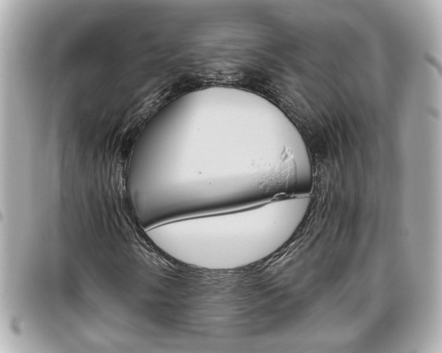 X0000096441058200801241113