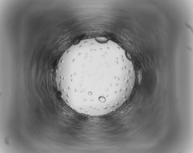 X0000096441059200801241113