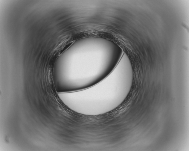 X0000096441060200801241113