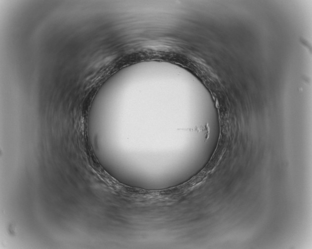 X0000096441061200801241113