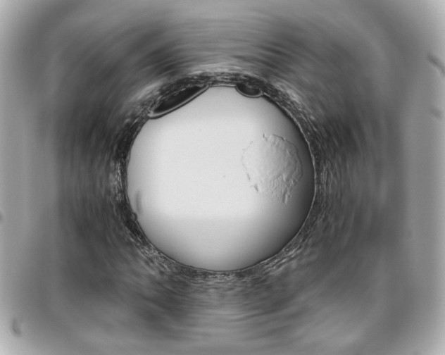 X0000096441062200801241113