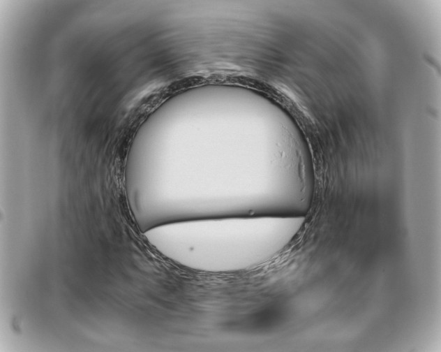 X0000096441063200801241113