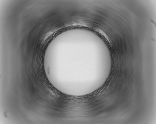 X0000096441064200801241113