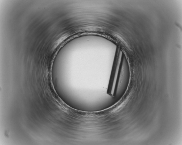 X0000096441065200801241113