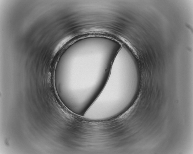 X0000096441066200801241113