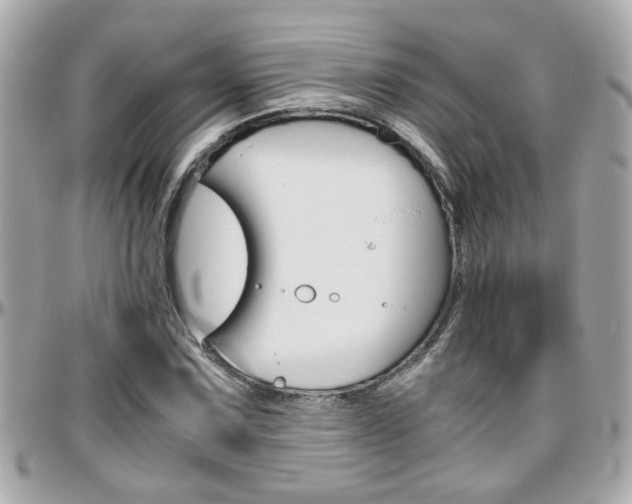 X0000096441067200801241113