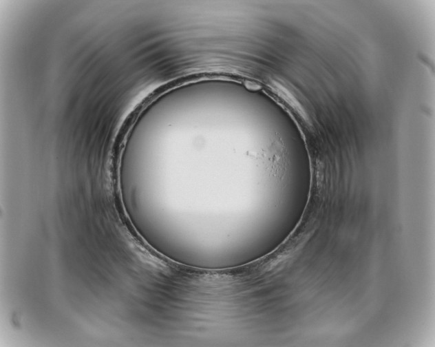 X0000096441068200801241113