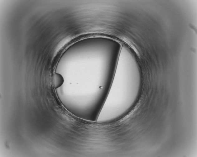 X0000096441069200801241113