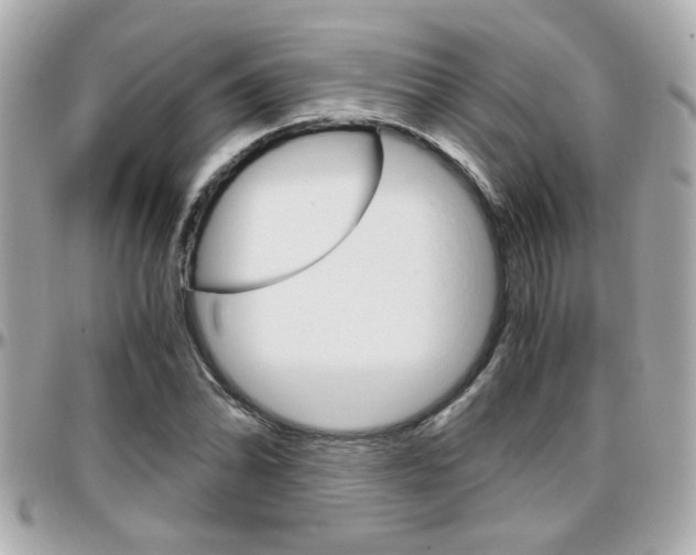 X0000096441070200801241113