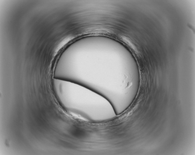 X0000096441071200801241113