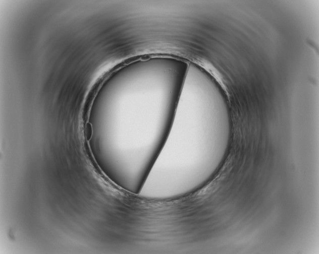X0000096441072200801241113