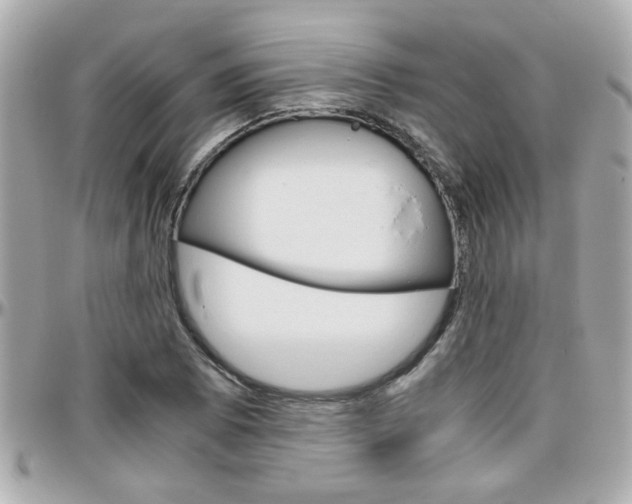X0000096441073200801241113
