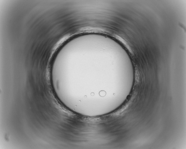 X0000096441074200801241113