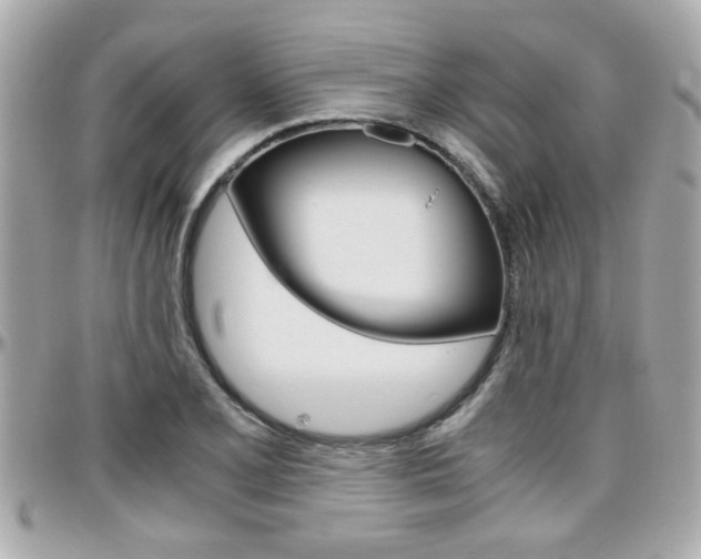 X0000096441077200801241112