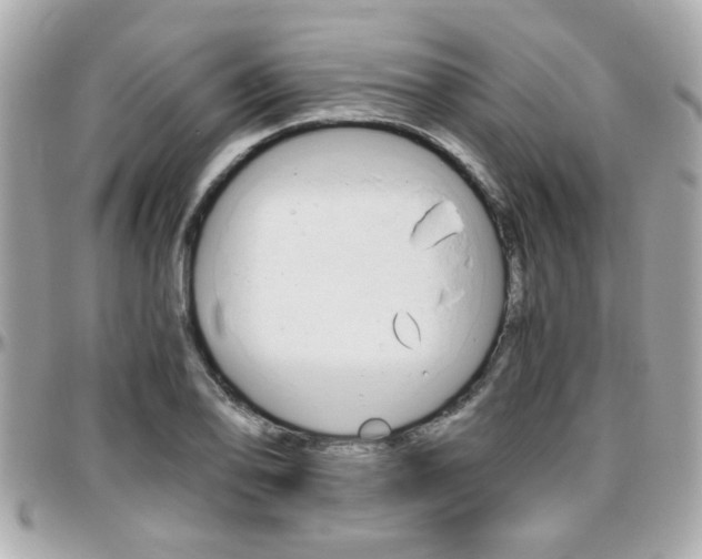 X0000096441078200801241112
