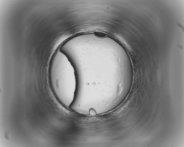 X0000096441079200801241112