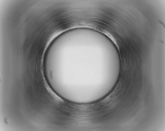 X0000096441080200801241112