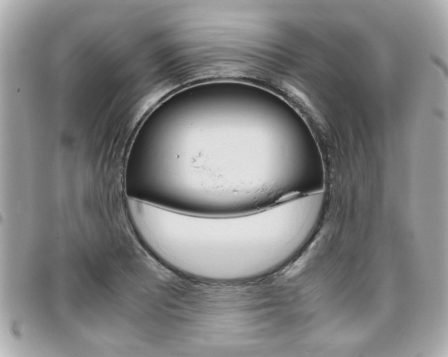 X0000096441081200801241112