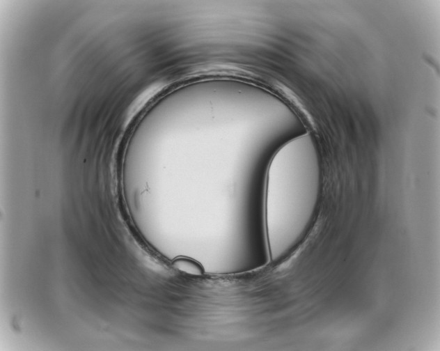 X0000096441082200801241112