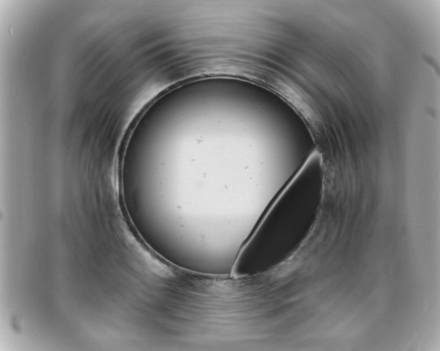 X0000096441084200801241112