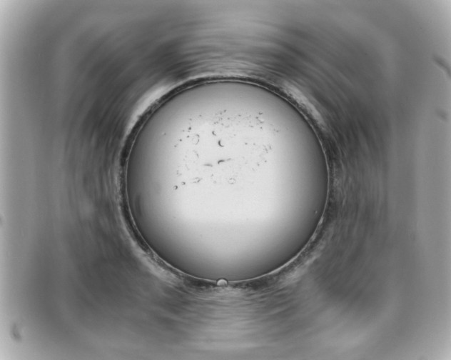 X0000096441085200801241112
