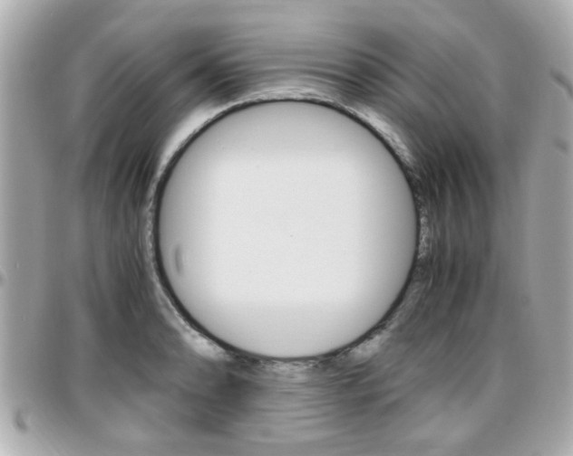 X0000096441086200801241112