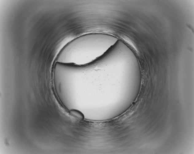 X0000096441087200801241112