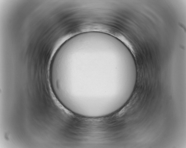 X0000096441088200801241112