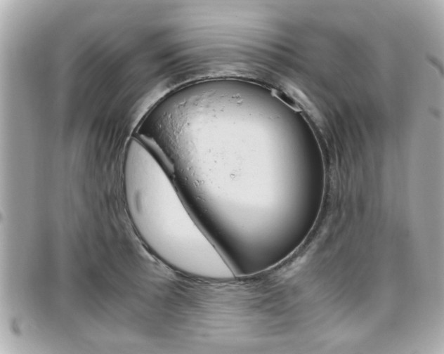 X0000096441089200801241112