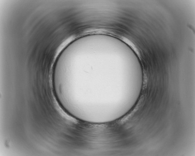 X0000096441090200801241112
