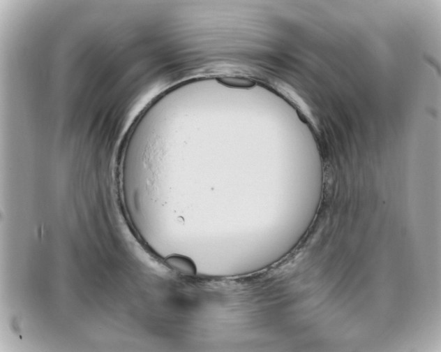 X0000096441091200801241112