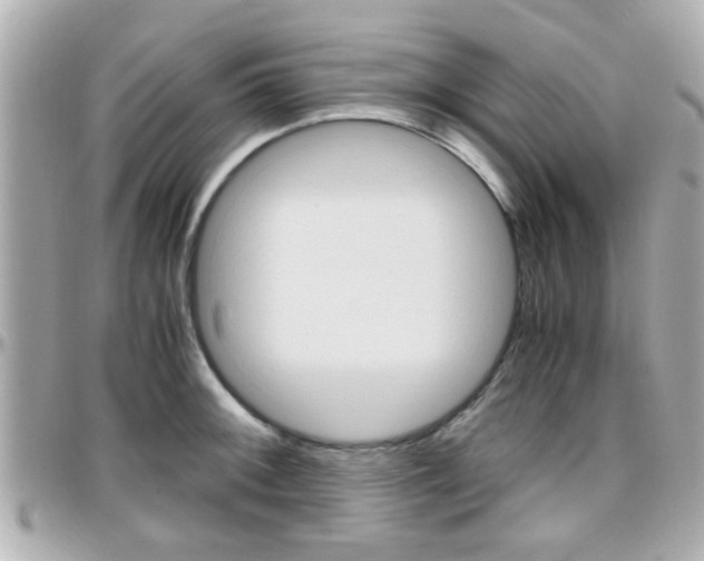 X0000096441092200801241112