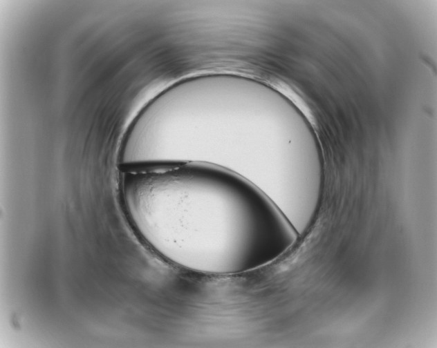 X0000096441093200801241112