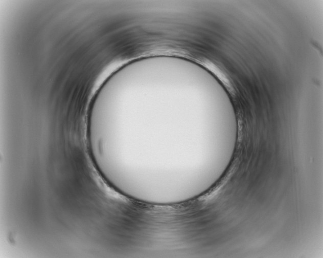 X0000096441094200801241112