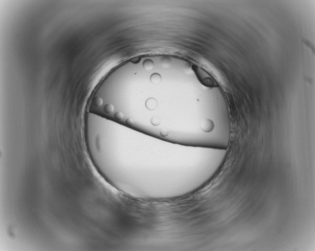X0000096441095200801241112