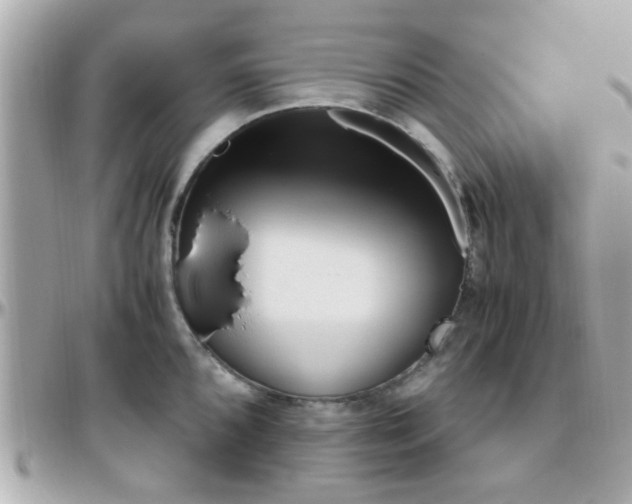 X0000096441096200801241112