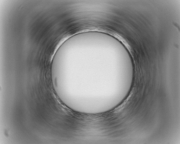 X0000096441097200801241112
