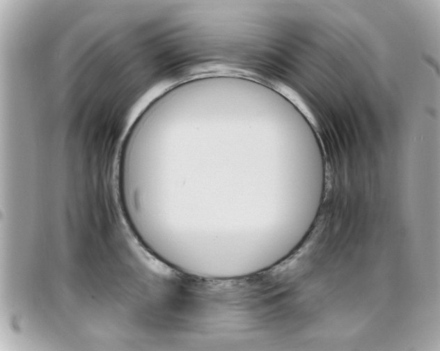 X0000096441098200801241112