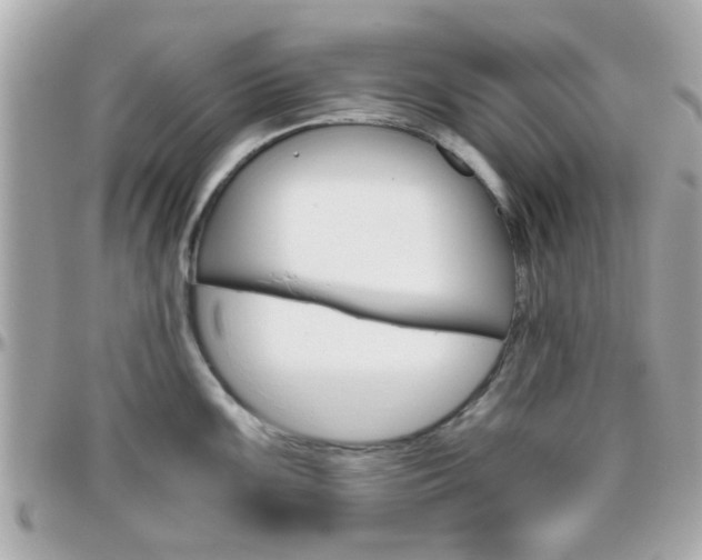 X0000096441099200801241112