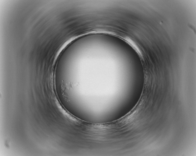 X0000096441100200801241112