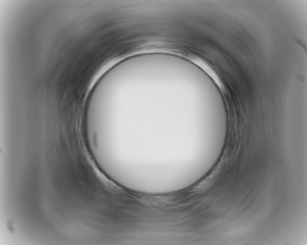 X0000096441101200801241112
