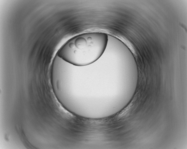 X0000096441102200801241112
