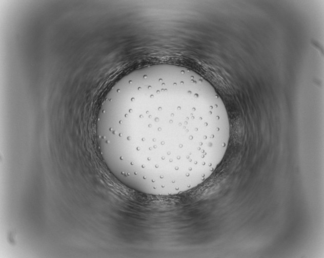 X0000096441105200801241111
