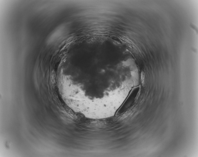 X0000096441107200801241111