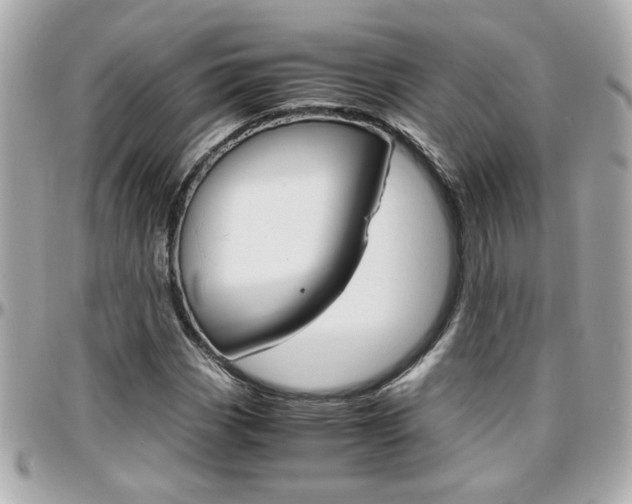 X0000096441113200801241111